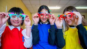 Creativity and critical thinking programme recruiting Carlow mentors for Irish students