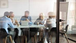 Funding announced to help Carlow businesses 'seize digital opportunities'