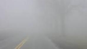WEATHER: Mist and fog with scattered showers expected in Carlow today (Dec 17)