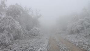ALERT: Met Éireann warns of frost and icy patches as temperatures drop