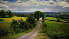 'Local connectivity is vital' - Humphreys announces funding to repair rural roads in Carlow