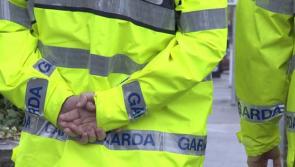 Newly elected Carlow TD calls for simplification of Garda Vetting Process
