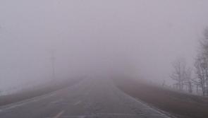 CARLOW WEATHER: Mostly cloudy today (Feb 10) with mist and fog in places