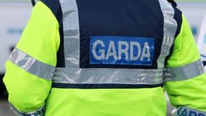 Gardaí in Dublin make 2 arrests in relation to drug related intimidations 