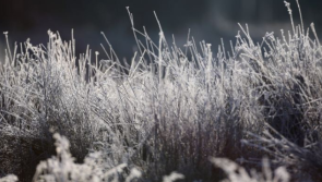 Scattered showers expected in Carlow today (Dec 5) with widespread frost overnight