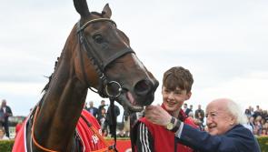 BREAKING: Carlow trainer Shark Hanlon wins American Grand National with €850 horse