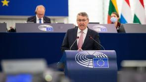 One-step closer to removing damaging proposals from ANIT recommendations - MEP Kelleher
