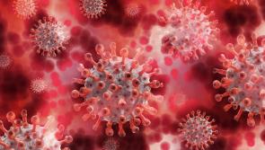 Covid-19: Daily case numbers continue to fall