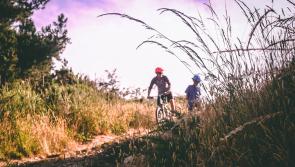 Nearly €3m in funding allocated to  Carlow travel projects 