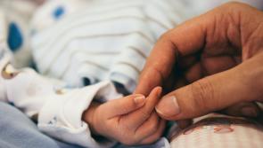 Carlow TD welcomes establishment of Special Joint Oireachtas Committee on International Surrogacy