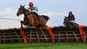Race previews and tips for this weekend's Dublin Racing Festival at Leopardstown 