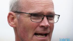 DUP actions 'doesn't change much' says Coveney as NI protocol talks set to continue