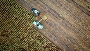 Carlow agri-food employers reminded of hiring process for workers outside of EU

