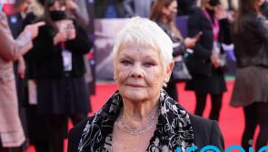 Belfast film lands seven Oscar nominations