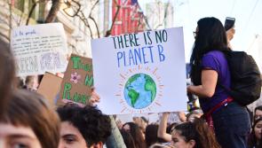 Young people in Carlow invited to take part in European project to relieve eco-anxieties