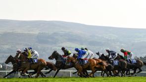 RACING: Tips and analysis for Thursday’s meeting at Clonmel