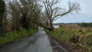 ALERT: Road closures in Carlow due to to Storm Eunice