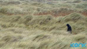 Thousands of homes without power as Storm Eunice batters Ireland