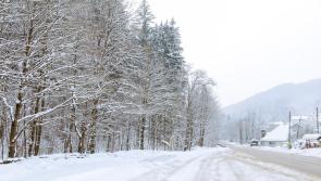 Forecaster pinpoints counties most at risk of snow amid Arctic blast for Ireland