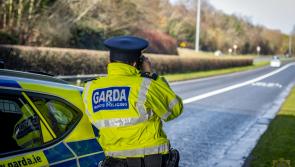 Extra Garda checkpoints in place in Carlow today for National Slow Down Day