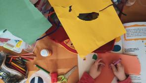 Primary school artists wanted in Carlow for conservation campaign