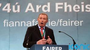 Irish families ‘will have to open their homes to Ukrainian refugees’ - senator says