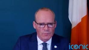 Ireland needs a ‘fundamental rethink’ over security, says Coveney
