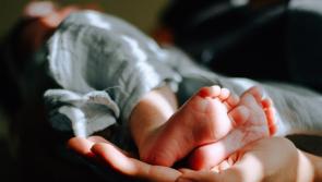 Carlow TD appointed to special committee looking at international surrogacy