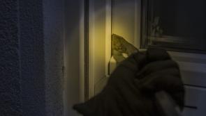 Water pump and hand drill among items stolen from house in Carlow 
