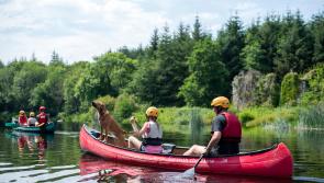 Royalty free collection of Carlow images has been launched 