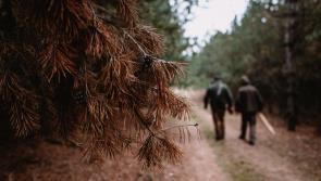 Carlow Men's Sheds is holding 'Walkshops’ this month 