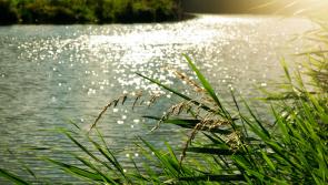 People in Carlow urged to stay away from waterways if drinking alcohol on St Patrick's Day