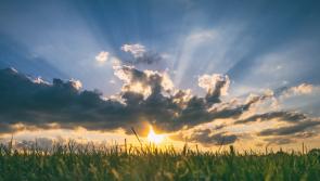 WEATHER: 'Mostly Sunny' Carlow daily weather forecast and it looks good!