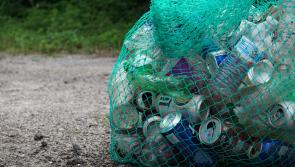Councils in Carlow can use CCTV to catch illegal dumping later this year