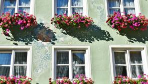 'Keep the country looking its best' - 2022 TidyTowns competition for Carlow launched