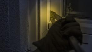 Gardaí appeal for witnesses following burglary in Carlow