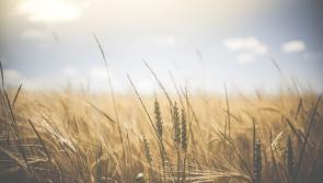 CARLOW WEATHER: Met Éireann forecasts another dry and sunny day today (April 20) 