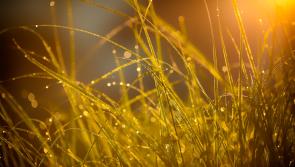 CARLOW WEATHER: Mixed conditions today with showers and sunny spells expected