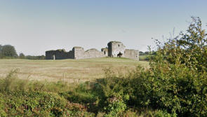 Community Monuments Fund grant announced for historic Carlow castle 

