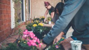 Mentoring available for Community Garden Projects as part of International Ru:Rban Project

