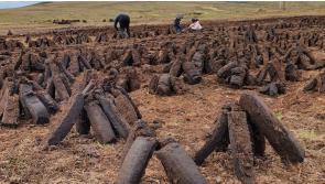 Sinn Féin TD urges parties to back motion to scrap turf ban