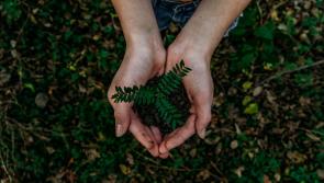 Carlow businesses encouraged to prioritise sustainability efforts in 2022 

