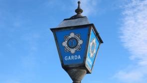 Gardaí stop two teens in stolen car with stinger device, both arrested just outside Carlow border