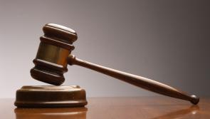 Carlow Circuit Criminal Court upholds hefty fine and five convictions for Wildlife Act Offences

