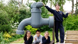 Carlow households encouraged to conserve water as new survey reveals over half admit to wasting it