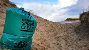  Free clean-up kits available to communities in Carlow for World Ocean Day