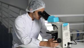 Industrial action leads to 'significant delays' in hospitals for Carlow patients today 