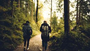 Historical Walking Tour of Carlow planned for Postgraduate Study Open Evening