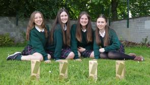 Carlow students scoop national awards with creative Big Ideas for the future
