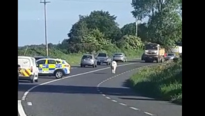 WATCH: Cute young animal causes Gardaí some trouble on road near Carlow